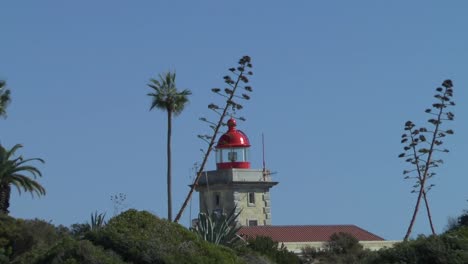 Die-Küste-der-Algarve-in-Lagos-Portugal