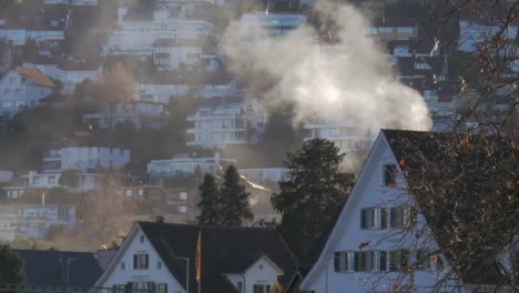 Picturesque-Town-of-Wollerau-Switzerland-Houses