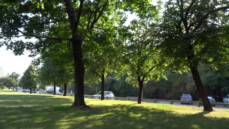 Fuß-einen-schattigen-Boulevard-entlang-einer-befahrenen-Straße,-an-einem-schönen-Sommertag