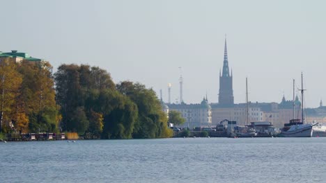 Gelbe-Farbe-Bäume-an-der-Küste-in-Stockholm-Schweden