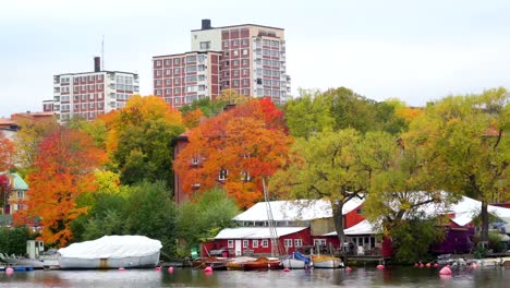 Häuser-und-Bäume-auf-der-Seite-des-Meeres-in-Stockholm-Schweden