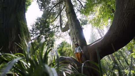 Junge-Frau,-die-auf-riesigen-Baum