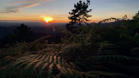 puesta-de-sol-y-luz-crepuscular-en-el-bosque-en-la-montaña