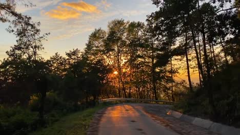 sunset-and-twilight-light-in-the-forest-on-the-mountain