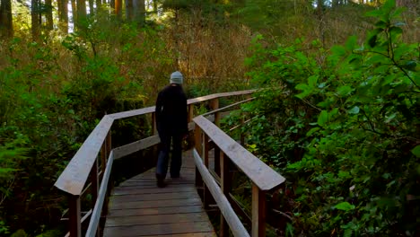 Woman-Hike-along-Wooden-Trail,-Deep-Green-Forest