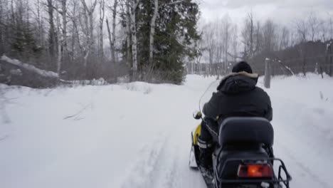 Invierno-en-ontario-vídeo-4-k