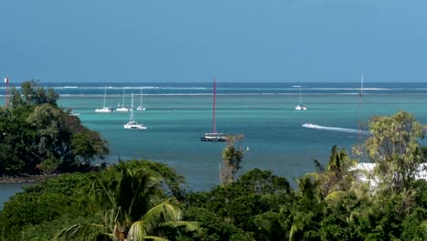 Timelapse-of-sailing-yachts-neat-the-coastline,-Mauritius