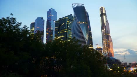 A-view-of-the-skyscrapers-from-behind-the-trees