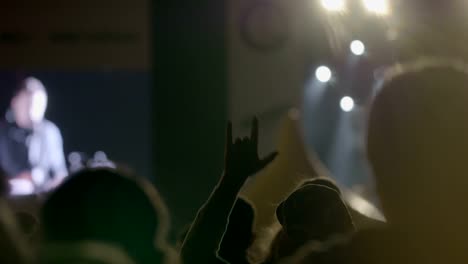 Crowd-of-people-enjoying-rock-concert