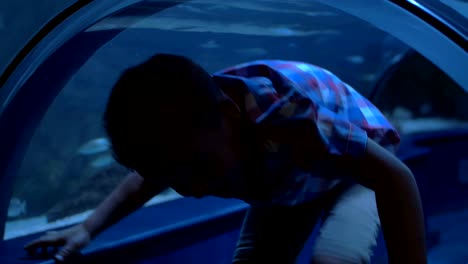 Child-walking-in-water-tunnel-of-oceanarium