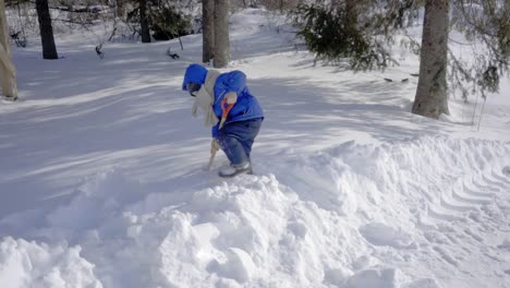 Invierno-en-ontario-vídeo-4-k