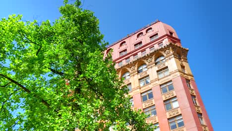 Spring-Tree-Urban-Park,-City-Building,-Green-and-Blue-Skyline-Landscape