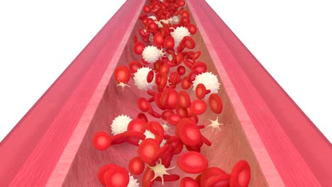 3D-animation-of-a-bloodstream-with-red-cell-white-cell-and-platelet