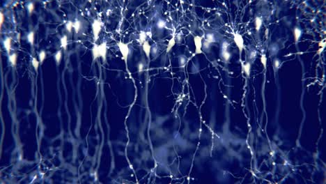 Pyramidal-neurons-in-the-cerebral-cortex.-The-synaptic-signals-are-clearly-visible