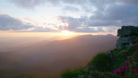 blooming-rhododendrons-in-the-Carpathians-time-lapse