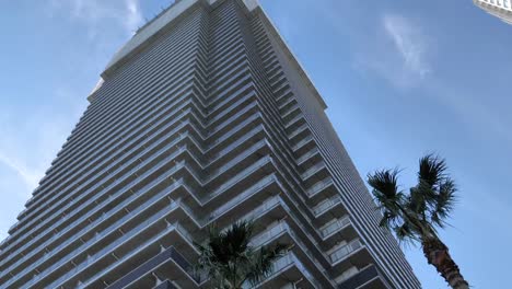 The-palm-trees-outside-the-high-skyscraper-building-in-Tokyo