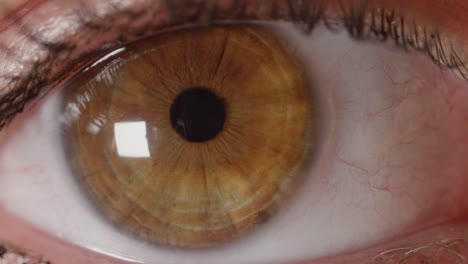 SLOW-MOTION-CLOSE-UP:-Detailed-look-at-beautiful-amber-eye-opening-and-observing