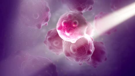 Close-image-of-bunch-purple--cancer-cells-with-large-beam-dust