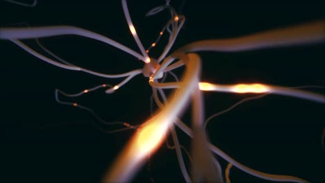 Neurons-Electrical-Pulses