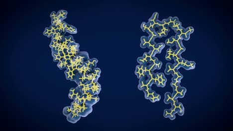 El-péptido-beta-amiloide:-izquierda:-estructura-del-péptido-beta-amiloide-en-la-membrana-la-forma-unida,-derecha:-la-forma-libre-puede-acumular-a-las-placas-amiloideas,-que-participan-en-la-enfermedad-de-Alzheimer