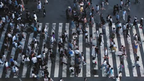 Beschleunigte-High-Angle-Top-Down-Schuss-von-Passanten-auf-der-Straße-Fußgängerüberweg.-Großstadt-Zebrastreifen-am-Abend.-Mit-höflichen-Fußgänger-und-Autofahrer.