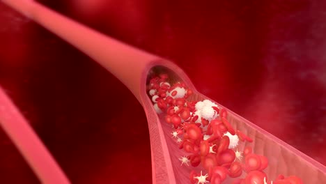 3D-animation-of-a-bloodstream-with-red-cell-white-cell-and-platelet