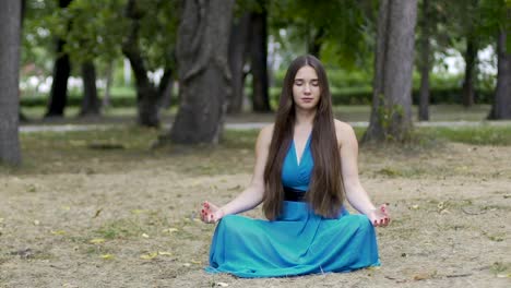 Tiro-de-carro-de-mujer-meditando-en-el-parque,-hermosa-paz-interior-hembra-pelo-largo