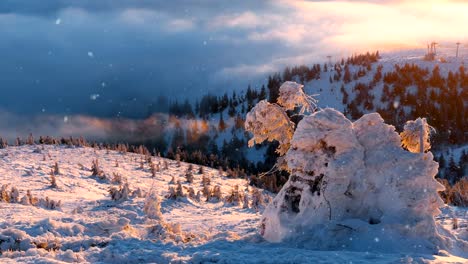 Nieve-que-cae-en-una-montaña-del-invierno-con-nieve-cubierto-árboles