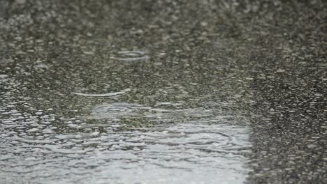 Raindrops-falling-in-the-asphalt-a-raining-day