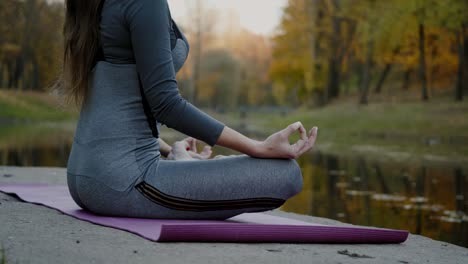 Junge-Frau-praktizieren-Yoga-im-Freien.-Weibliche-meditieren-im-Freien-vor-der-schönen-Herbst-Natur