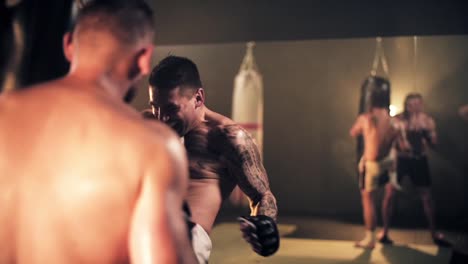 Hard-working-boxer-during-the-workout