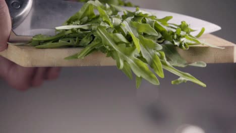 Fallen-der-Rucola-in-die-Pfanne-geben.-Zeitlupe-480-fps