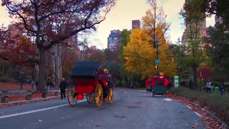 Horse-Carriage-in-Central-Park