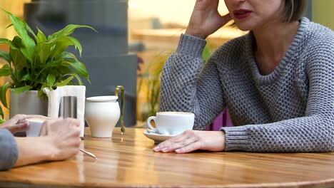 Verärgert-Frau-beschwerte-sich-über-Probleme,-persönliches-Gespräch-im-Café-mit-Freund