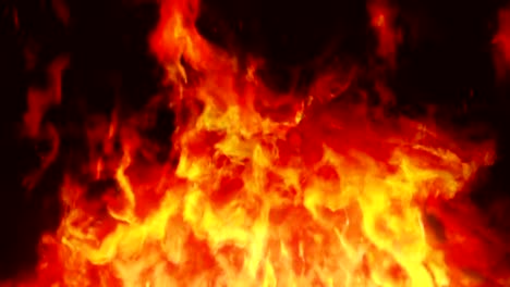 Firewall-2---Stylized-Fire-Video-Background-Loop