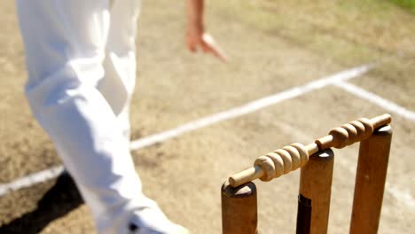 Bowler-liefert-Ball-während-Cricket-match