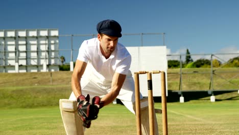 Encargado-del-Wicket-recoger-pelota-de-cricket-detrás-de-troncos-durante-partido