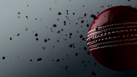 Sport-ball-SPIN-CRICKET-BALL-rot