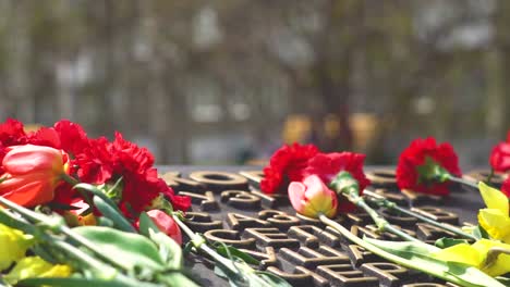 flowers-at-the-monument