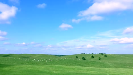 Eine-Milchfarm-in-Hokkaido,-Japan