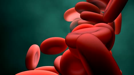 Red-Blood-Cells-in-motion