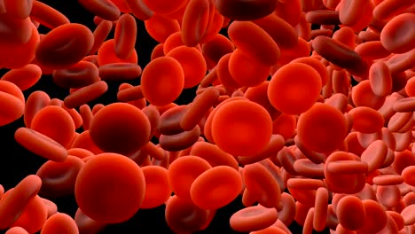 Blood-Cells-in-motion-with-Alpha-Mask