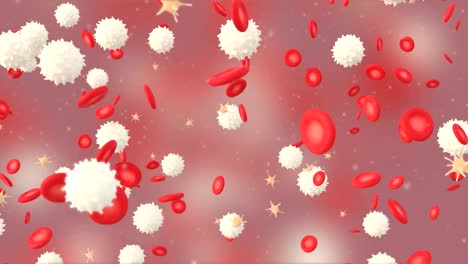 3D-Animation-des-Blutes-mit-roten-Blutkörperchen,-weißen-Blutkörperchen-und-Thrombozyten