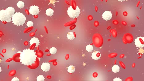 3D-animation-of-a-blood-with-red-cell-white-cell-and-platelet