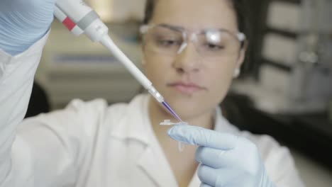 Ein-Forscher-übernimmt-Proben-in-einem-genetischen-Labor-an-der-Universität
