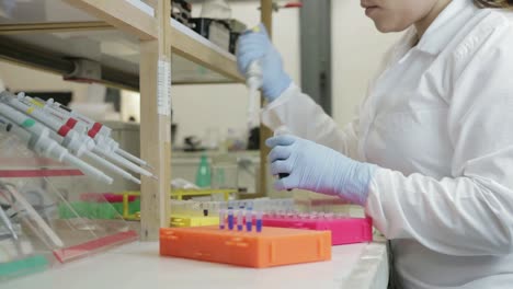 Un-investigador-transferir-las-muestras-a-frascos-más-pequeños-en-un-laboratorio-de-genético-en-la-Universidad-de