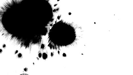 Watercolor-ink-drops-on-white-paper,-paint-bleed-bloom,-with-black-circle-organic-flows-expanding,-splatter-spreading-on-white-background.-Perfect-for-motion-graphics-like-logo-reviles,-masks,-mattes.