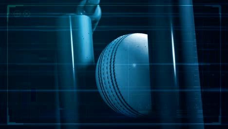 cricket-ball-hitting-wicket-with-tech-data-2