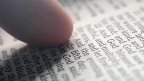 Holy-Bibel-