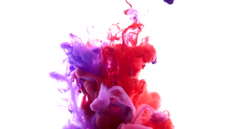 Red-and-blue-colors-ink-cloud-on-a-white-background.